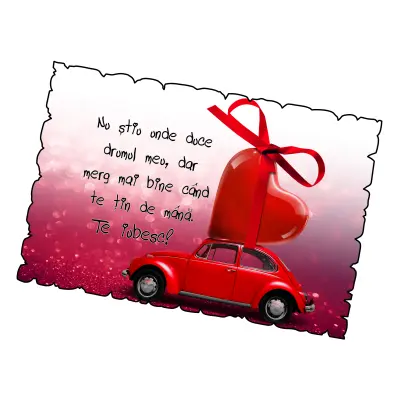 Mgs052-nu stiu unde duce drumul meu, magnet frigider